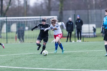 Bild 17 - wBJ HSV - F VfL Jesteburg : Ergebnis: 6:1